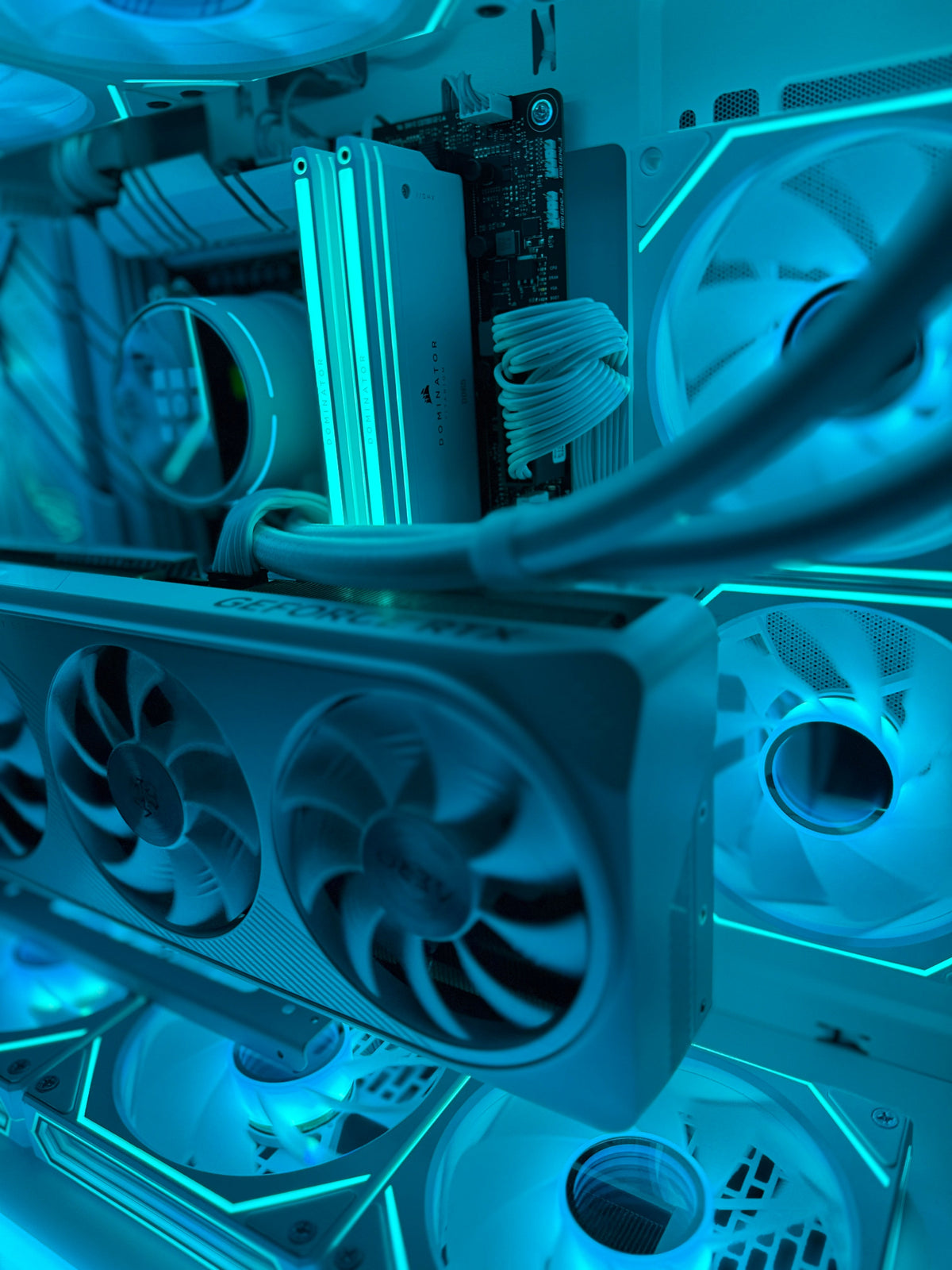 Creator & Workstations